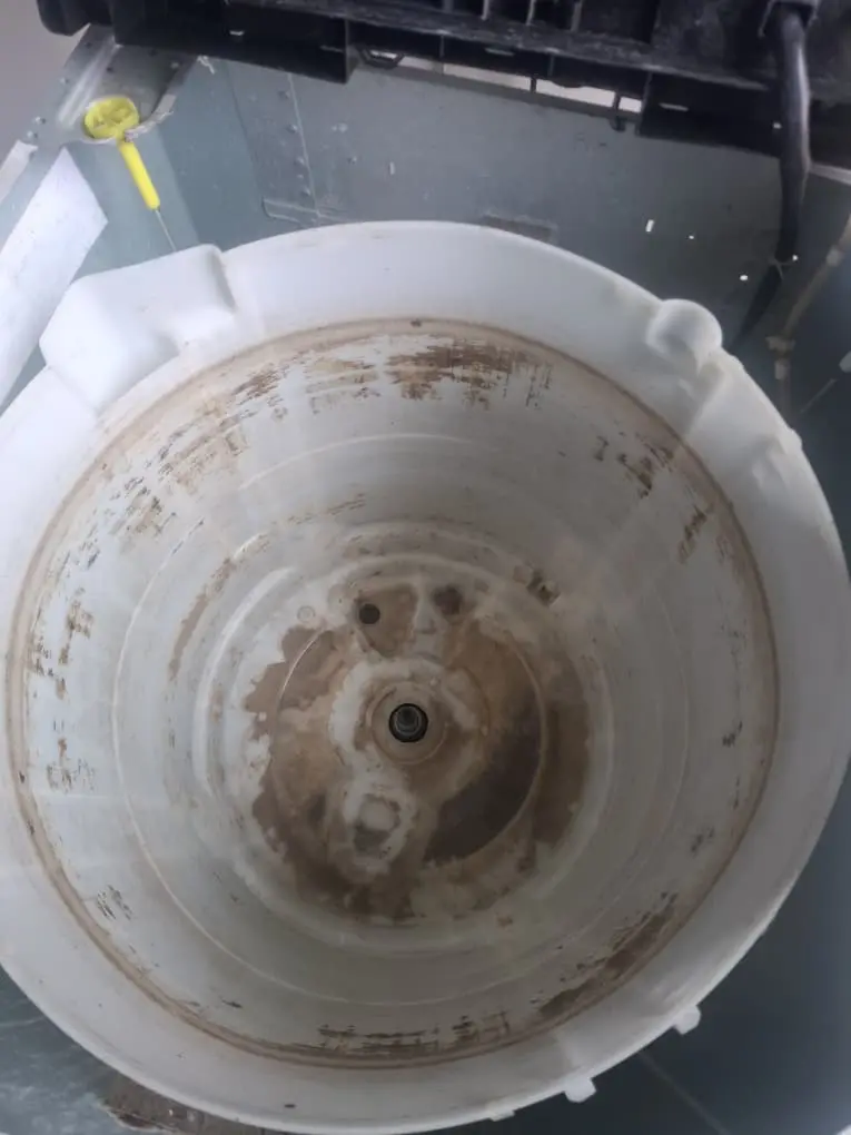 Washing machine tub cleaning